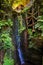 Vertical shot of a small waterfall on a wall surrounded by green plants and a wooden barn