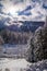 Vertical shot of the snow-capped trees. Argentiere, Chamonix, Mont Blanc