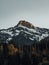 Vertical shot of a snowy cliff in Washington, USA