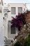 Vertical shot of some white building on the streets of Greece