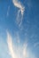 Vertical shot of spindrift clouds and blue sky