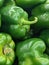 Vertical shot of a stack of freshly picked green bell peppers