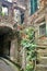 Vertical shot of a staircase of an old building with flowerpots