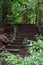 Vertical shot of stairs leading to a rainforest in Costa Rica