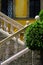 Vertical shot of a stairway outside the building with a green plant on the side