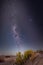 Vertical shot of a starry night in Playa Santa Lucia del Este Canelones seaside resort in Uruguay