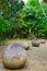Vertical shot of the stone balls in Costa Rica