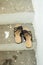 Vertical shot of stone stairs going up with sandals on the stairs a baby\'s footprint painted