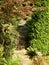 Vertical shot of a stone stairway in the middle of a forest with bushes around