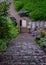 Vertical shot of a stone stairway surrounded by greenery in Koishikawa Botanical Gardens, Tokyo