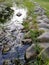 Vertical shot of a stream, grass, and stones