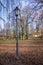 Vertical shot of a streetlight in a park on an autumn day