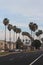 Vertical shot of streets and palm trees in Long Beach, California