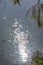 Vertical shot of the sunlight sparkling in the lake water