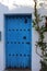 Vertical shot of a tall plant growing near a blue wooden door