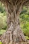 Vertical shot of a thick structured tree trunk