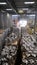 Vertical shot of the tools inside of a microbrewery factory in Iceland