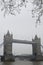 Vertical shot of a Tower Bridge in London, United Kingdom with a gray sky in the background