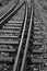 Vertical shot of tracks of a disused railway line in grayscale