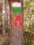 Vertical shot of trail signs marked on a tree trunk