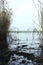 Vertical shot. Tranquil river,reeds in the fall season