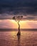 Vertical shot of a tree in the sea under a cloudy sky during a beautiful sunset in the evening