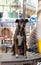 Vertical shot of a Treeing Tennessee Brindle with a lead sitting on the wooden bench