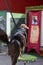 Vertical shot of a turkey vulture perched on a small platform in a park in Spain