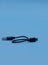 Vertical shot of type A to Micro USB cable on a blue background