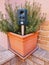 Vertical shot of ultrasonic and solar powered animal repellent on a flower pot