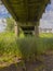 Vertical shot of the underside of a bridge surrounded with grass and plants.