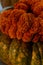 Vertical shot of an unripe pumpkin decorated with fluffy orange marigold flowers