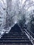 Vertical shot of urban staircases on background of trees covered by snow