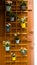 Vertical shot of a variety of potted plants on a wooden shelf