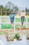 Vertical shot of  vibrant colorful flags adorn a line of string, hung outdoors