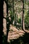 Vertical shot of the view of the forest in Arche de Ponadieu wildlife park