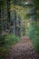Vertical shot of walking path along the Youghiogheny River in Friendsville, Maryland
