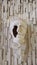 Vertical shot of a wall statue in the House of the Dead Heads. Jermuk, Armenia