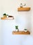 Vertical shot of wall wood shelves with indoor decorative plants