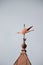 Vertical shot of a weathervane on a tower of a building