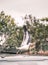 Vertical shot of a western gull on the blurry background