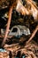 Vertical shot of a white camping tent and palm trees.