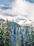 Vertical shot of white snow-covered pine trees near snowy mountains