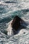 Vertical shot of wild waves crashing on the shore on a sunny day