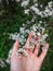 Vertical shot of a woman\'s hand touching a Blackthorn flower