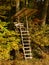 Vertical shot of wooden high chair built on the tree