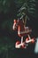 Vertical shot of a wooden horse ornament hanging from a pine tree with a blurred background