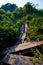 Vertical shot of wooden ruins in the middle of a blossomed forest