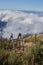 Vertical shot of wooden stairs and fence on a mountaintop in Madeira, Portugal