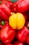 Vertical shot of a yellow bell pepper on a pile of vibrant red bell peppers